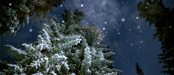 adventadvent adventadvent
