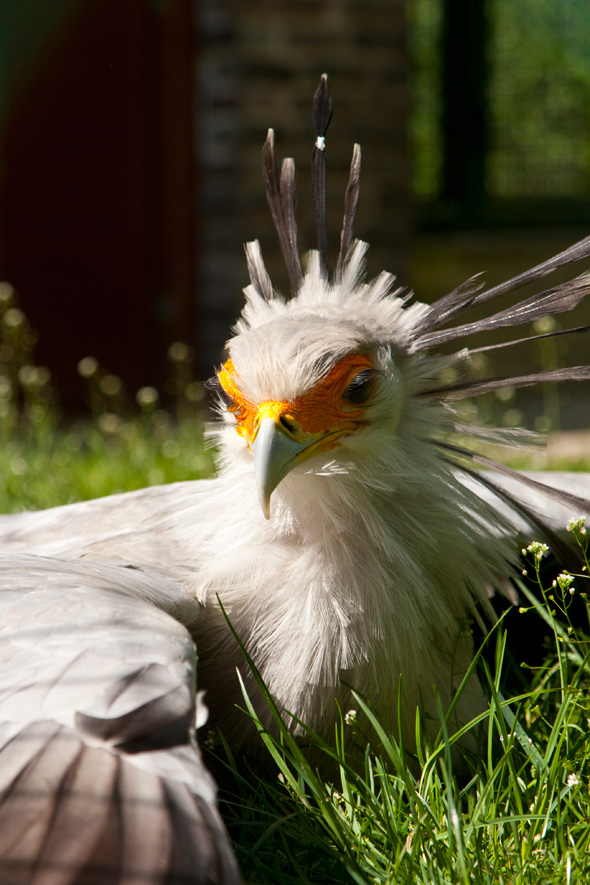 tierpark01