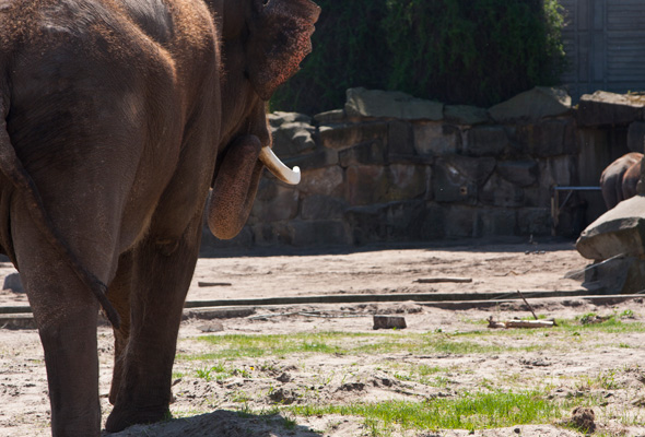 tierpark02