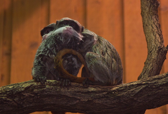 tierpark04