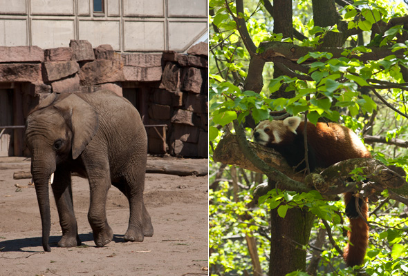 tierpark06