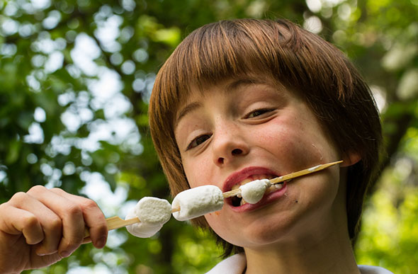 Kinderteller Grillevent - Marshmallows zum Nachtisch