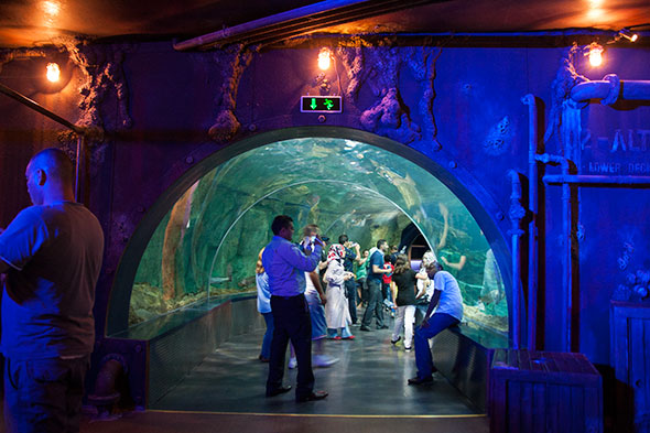 Istanbul mit Kind - Aquarium Istanbul Tunnel