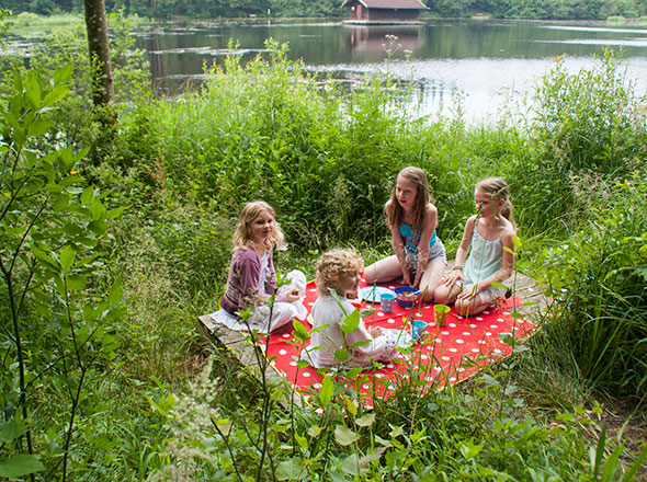Picknick am See - vier Mädchen auf der Picknickdecke