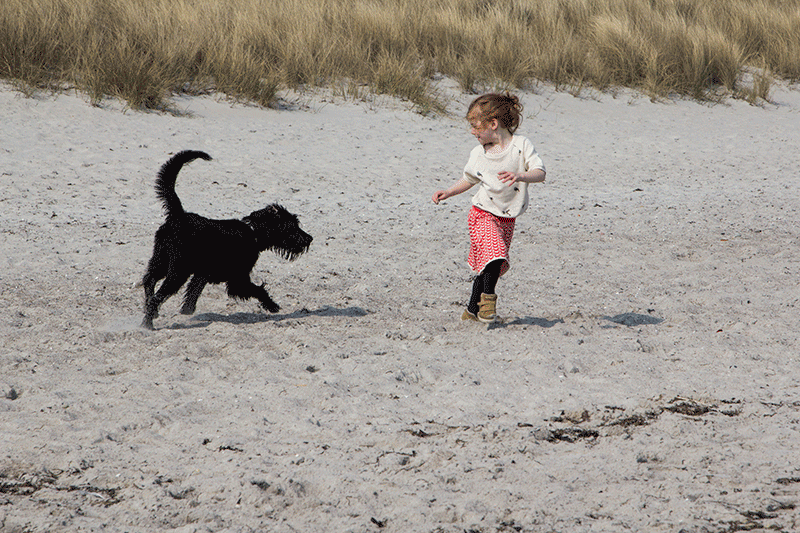 Dog runs after girl