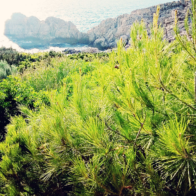 Capri Natur