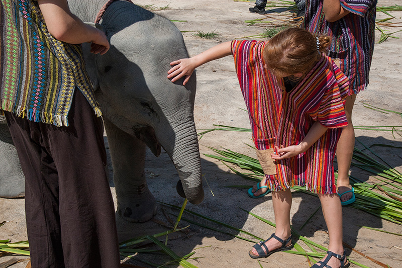 thailand elephant sanctuary