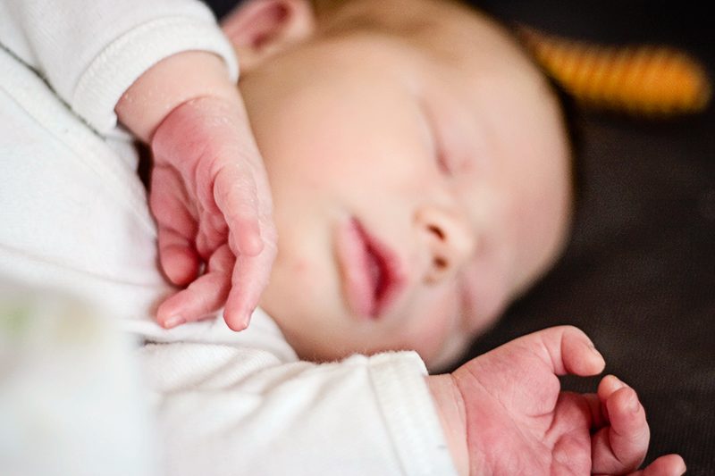 dankebaby - butterflyfish