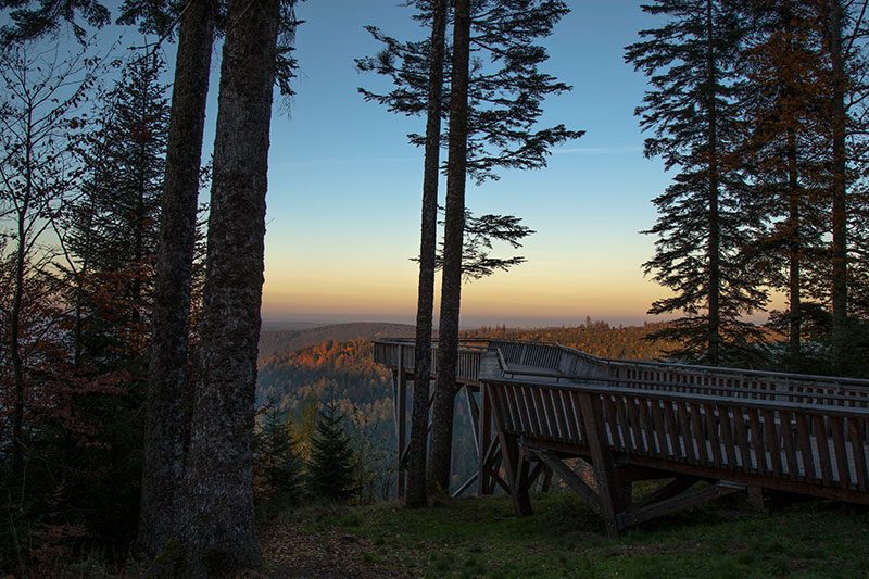 schwarzwald aussicht