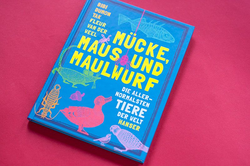 kinderbuecher muecke Maus und Maulwurf