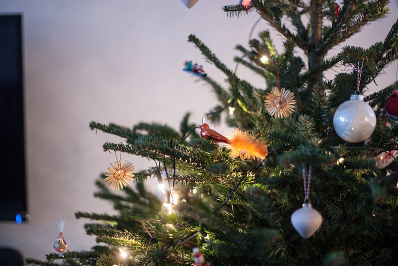 weihnachtsbaum kaufen meinetanne